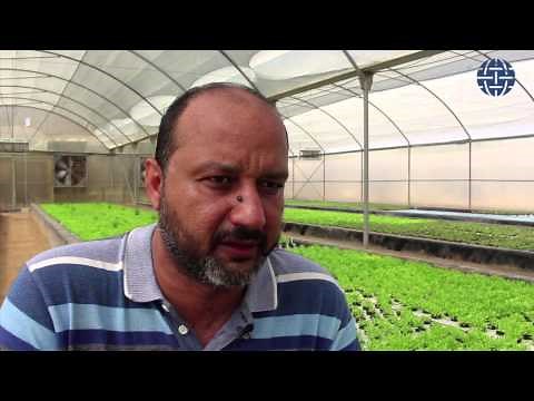 EgyptSource on Egypt’s First Aquaponics Farm