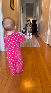 POV your first bowling league is family owned The videos are made using AI for your entertainment | Johnny Valentine