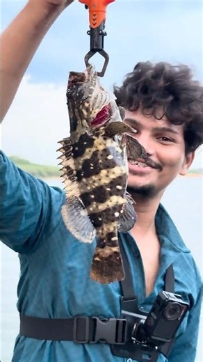 Unbelievable catch in river | Soft bite Fishing | grouper fish catching | lure fishing. #telugu