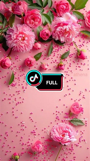 Complete ASMR Audio Stories for Relaxation