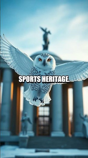 A Snowy Owl’s Midnight Tour of Helsinki
