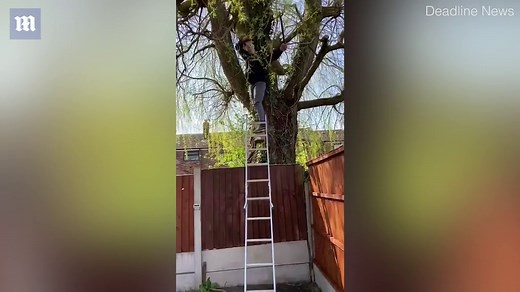Dramatic moment man avoids breaking spine after falling from ladder