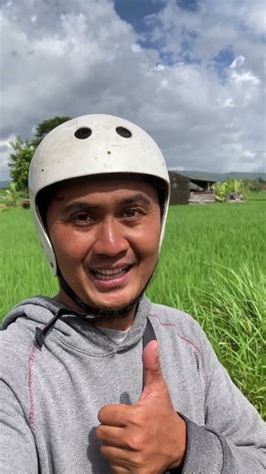 Cek sarang kemade #sarangkemade #sarangtalokan