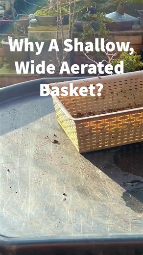 Why A Wide Shallow Aerated Basket?