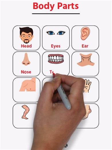 Learn English: Body Parts Vocabulary