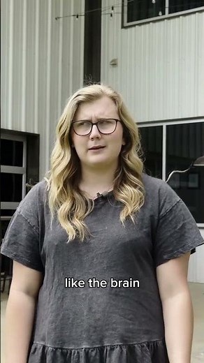 Boosting Chicken Health: The Vital Role of Vitamins Explained | Expert Insights