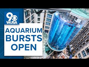 World's largest aquarium BURSTS in Berlin