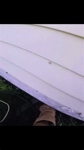 Waking up for work to battle these 😂😂 #fyp #blowthisup #animals #house #zyxcba