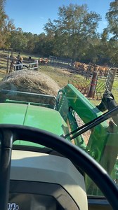Good to have my automatic gate opener up and working. | Joel Franklin Lawrence