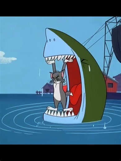 #tom #tomandjerry #warnerbros #jerry #jerryandtom | tomandjerry