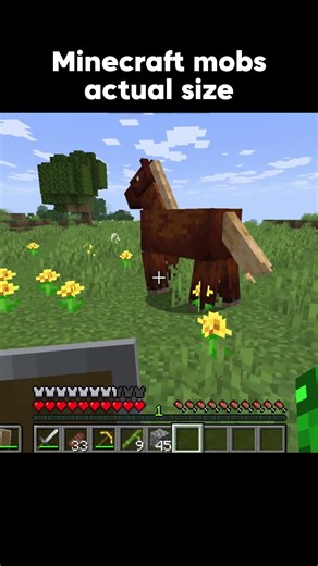 Mobs Actual Sizes #minecraft #factsadoutminecraft #minecraftshorts