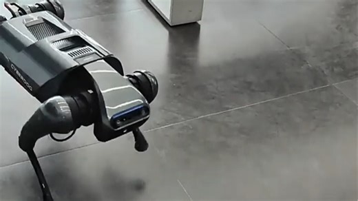 小米铁蛋cyberdog机器狗仿生机器人感知识别狗四足智能机器人现货 98新