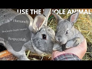 How To Dispatch and Butcher a Rabbit Humanely Without Waste