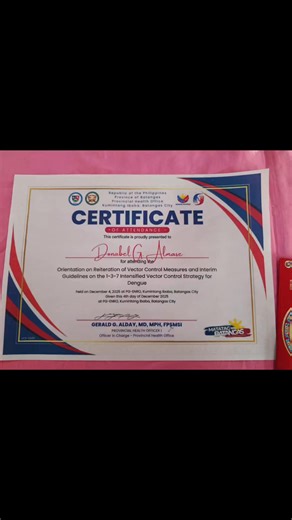 Orientation on Reiteration of Vector Control Measures and Interim Guidelines on the 1-3-7 Intensified Control Strategy for Dengue. #yearEndAssessment | Donabel Gumapac Almase