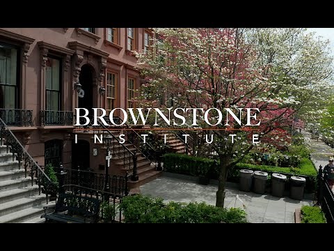 About Brownstone Institute