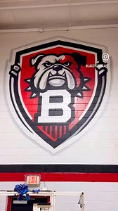 Lacey Crime Art on Reels