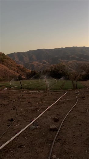 Videos de Emanuel Ailon (@emanuel.ailon0) con “sonido original - user57370579461”