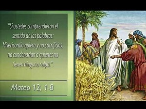 Evangelio de Mateo capítulo 12, 1-28.