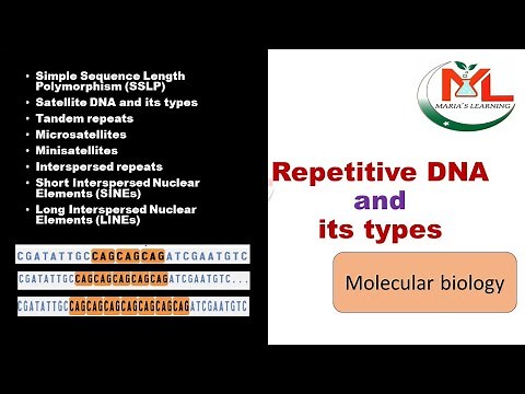 Repetitive DNA | Types of Repetitive DNA |Satellite DNA
