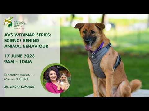 AVS Free Webinar Series | Science behind Animal Behaviour: Separation Anxiety