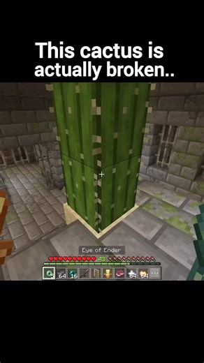 Effective Strategies for Speed Running in Minecraft