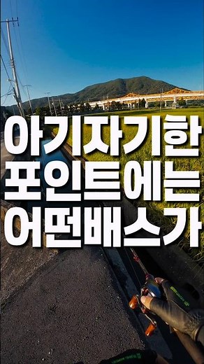 아기자기한 배스포인트에는 어떤 배스가 있을까? #피쉬맥스 #잇세이 #베이트피네스 #issei #BFS #배스낚시 #bassfishing #バス釣り #バスフィッシング