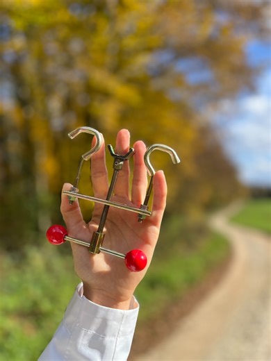 🌿 You love your bonsai — but bending branches often means breaking them. ArcForm applies gentle, even pressure that lets you shape with care, not force. No wires. No cracks. Just slow, beautiful shaping. Join thousands of bonsai artists using ZenSai to train their trees the right way. 🎁 Limited-time offers available — choose your bundle inside. 👉 Learn more here: 👉 https://zensaico.com/products/arcform-tool 👈 | ZenSai