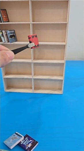 Tiny Library Magic 📚 Mini Bookshelf Tour