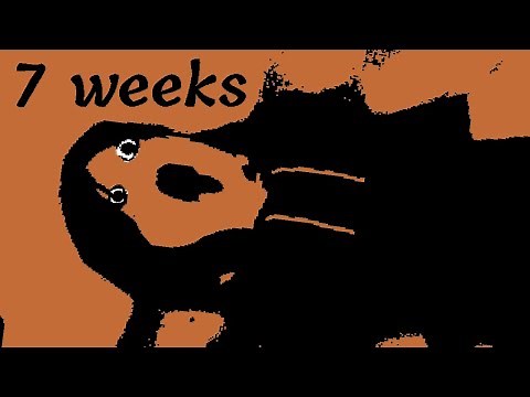 A Cursed Roblox Game