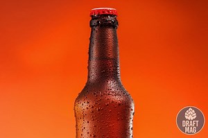 Voodoo Ranger Beer - A Comprehensive Review of This American IPA