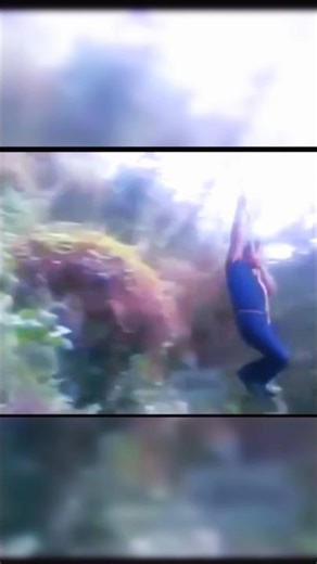 low quality tarjan 😁 #shorts #viral #shorts #memes