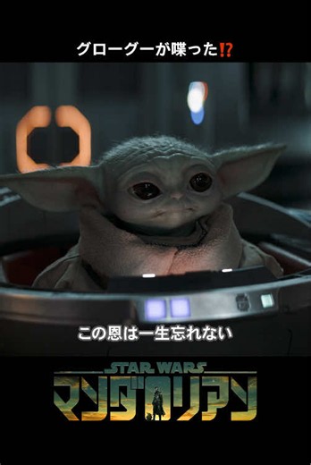 顔を見合わせるマンドーとボ＝カターン😳 グローグー、今喋った…❓ 📺『マンダロリアン (シーズン3)』は、ディズニープラスで独占配信中！ 🌟『スター・ウォーズ／マンダロリアン・アンド・グローグー』『スター・ウォーズ：ビジョンズ／九人目のジェダイ』はディズニープラスで配信中！ 🌟『スター・ウォーズ：アソーカ』シーズン2は2027年1月20日(水)ディズニープラスで独占配信開始！ 🎬『スター・ウォーズ／スターファイター』2027年5月28日(金)日米同時公開！ #スターウォーズ #STARWARS #ディズニープラス #マンダロリアン #グローグー