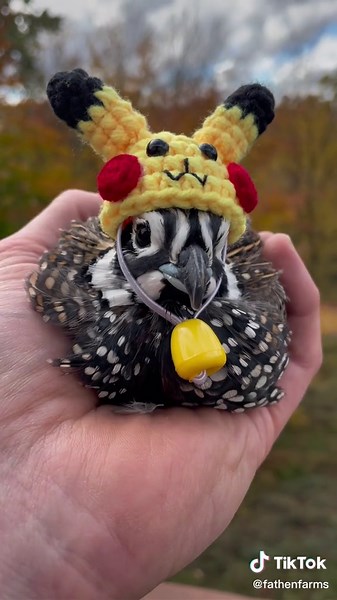 Adorable Pikachu Chick Snorts and Melts Hearts