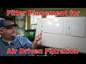 Air Driven Filters - how placement matters for sponges, under gravel filters and more.
