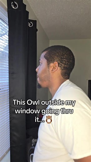Emotional Owl Calls for Help Outside My Window