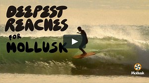 Deepest Reaches For Mollusk