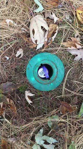 Sentricon Termite bait station Inspection