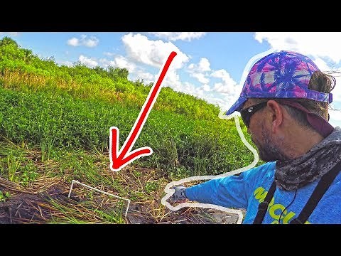 I CAUGHT bass TOURNAMENT CHEATERS on Lake Okeechobee