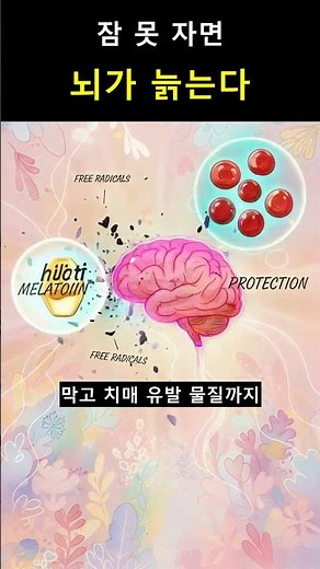 수면 호르몬 멜라토닌이 노화와 치매까지 막아주는 충격적인 이유 #멜라토닌 #수면호르몬 #불면증 #항산화 #노화방지