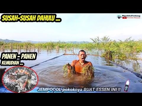 NGABOLANG KALI INI BIKIN SAYA KEWALAHAN! MANCING LIAR CIRATA