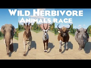 Wild Herbivore Animals Speed Races in Planet zoo included Fallow Deer, Indian Elephant, Quagga & etc
