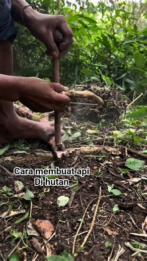 cara membuat api #caramembuatapi #caramembuatapidarikayu #caramembutapidihutan #fyp