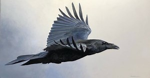 Paintings by Alan Bateman | Robert Bateman