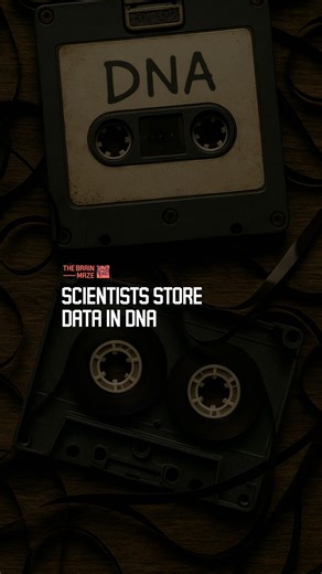 Scientists Store Data in DNA - What if the key to storing humanity’s endless data was hidden in the code of life itself? Could DNA replace hard drives and keep information alive for thousands of years. A new study in Science Advances explores this radical approach. But how much could it really hold? And what would this mean for the future of memory? #fblifestyle | The Brain Maze