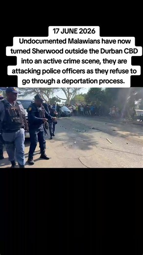 #tiktoknews #illegalforeigners #satiktok🇿🇦 #malawitiktok🇲🇼