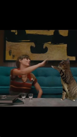 now that i posted Blank Space last night, guess i have to post all of Loki’s music video improvement videos🤷‍♀️ (the best one is coming next) #catsofinstagram #catstagram #cutecat #taylorswift #cat #antihero #swiftie | The Loki Show