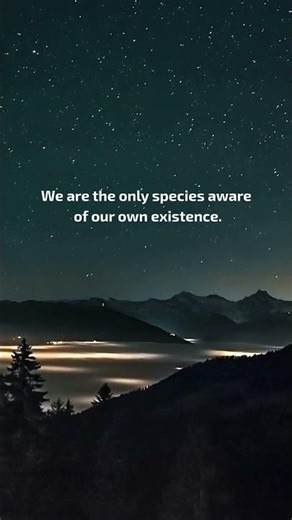 Why do humans search for meaning?