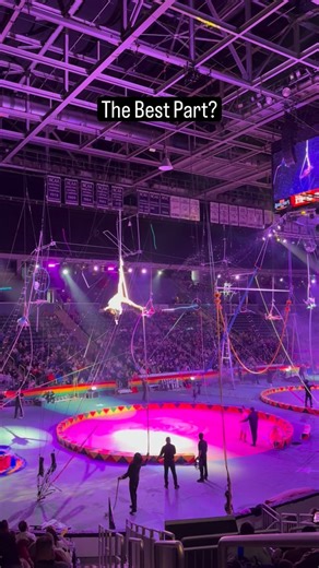 We just keep replaying moments like these 😎 There’s been a whole lot of high-flying fun so far. We’re back in action today at 9:30 am, 2 pm, and 7 pm. See ya there! #hadishrinecircus #evansville | Hadi Shrine Circus | Evansville, Indiana