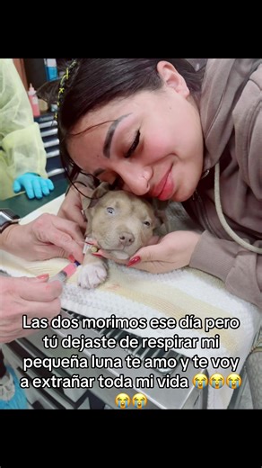 pucca_hermoso (@pucca_hermoso)’s videos with sonido original - sate💌