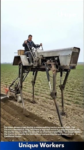 Walking Tractor: Man Drives a Unique Agricultural Machine in the Field